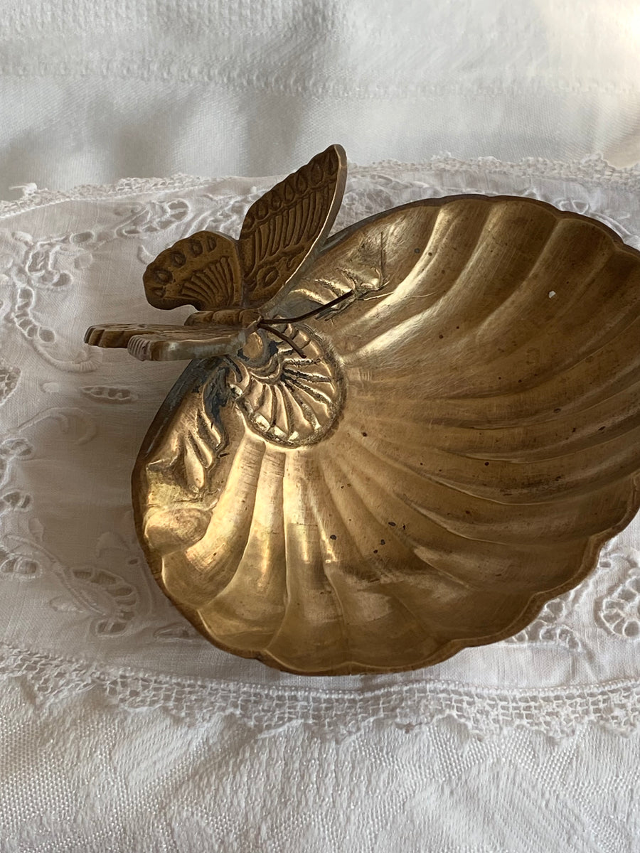 vintage clamshell with resting butterfly