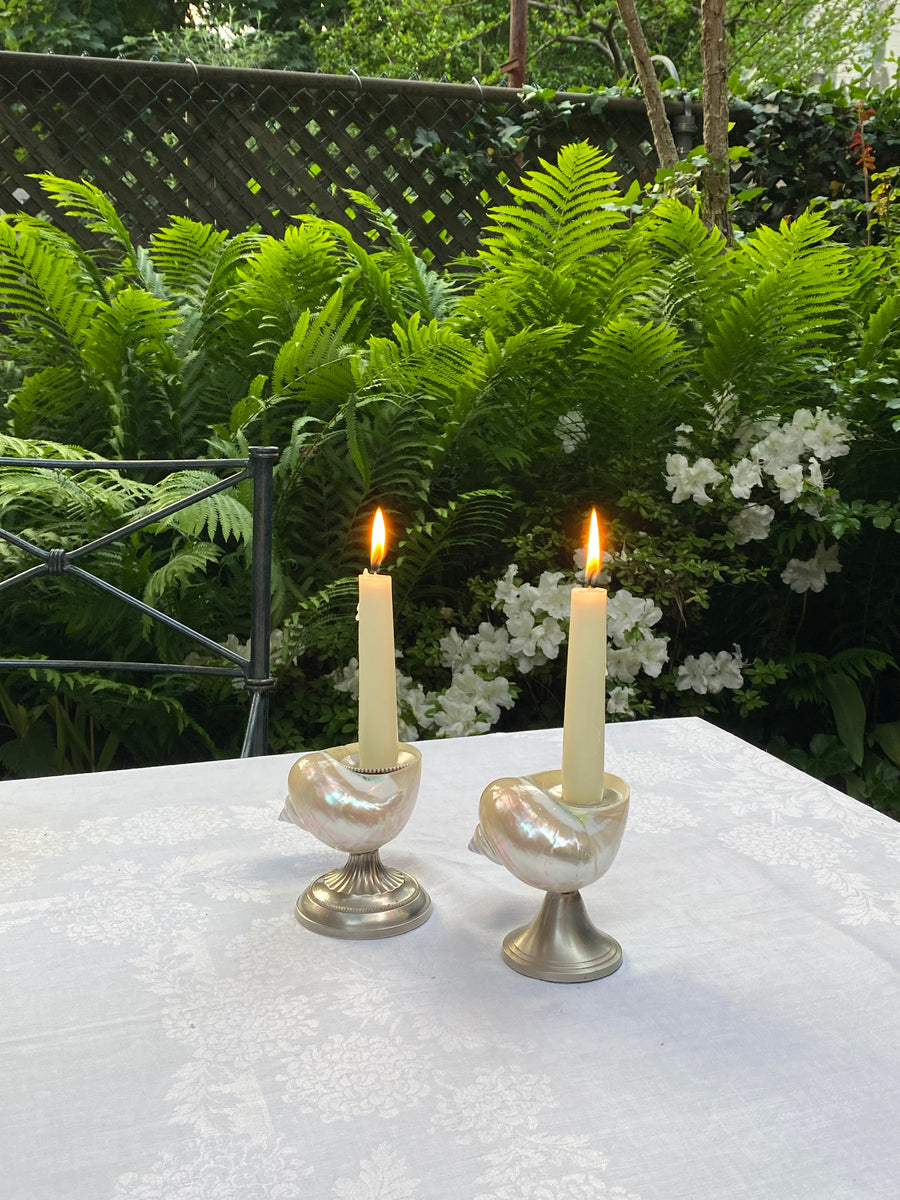 turbo shell candle holders