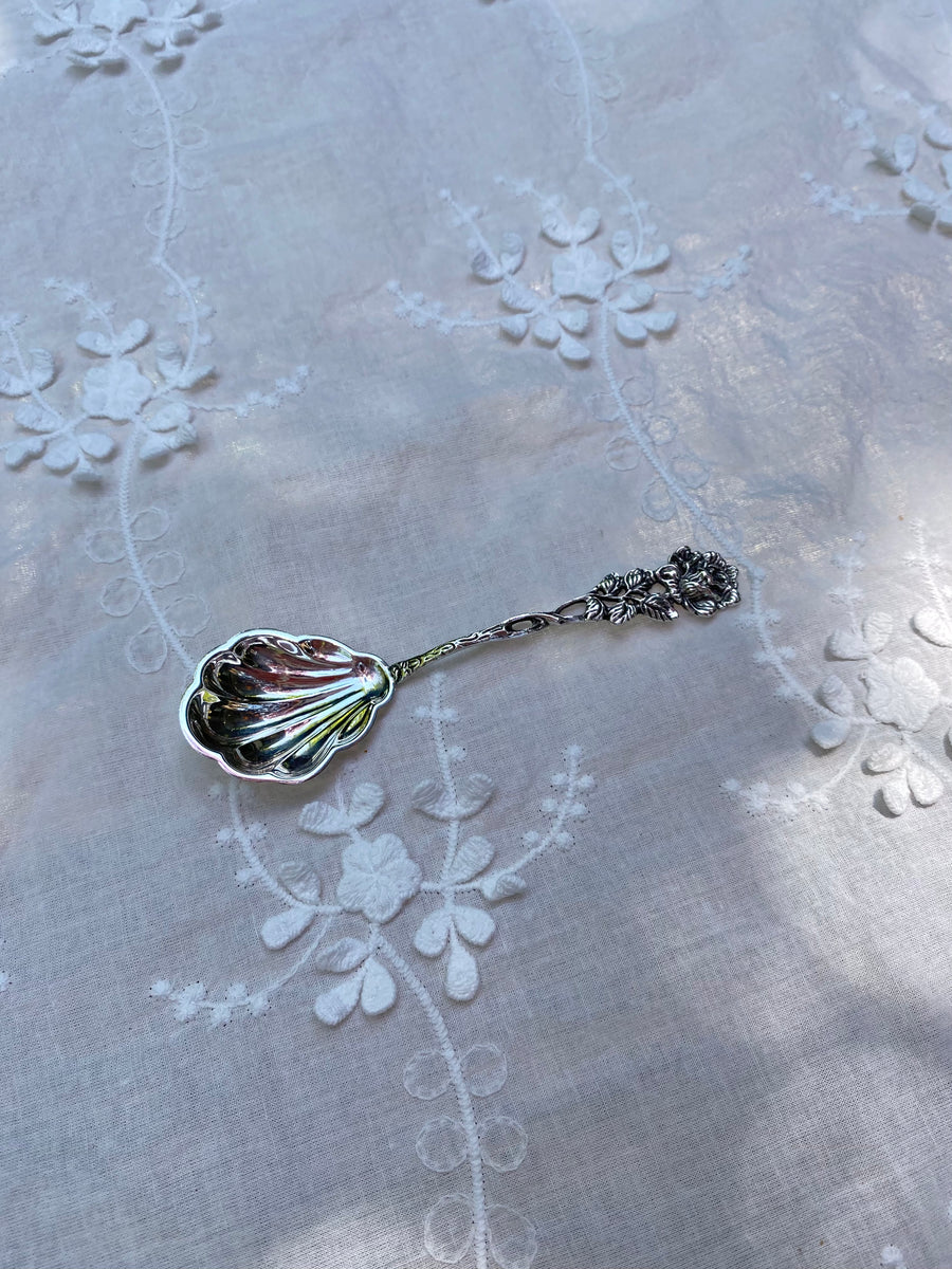 rose shell spoon