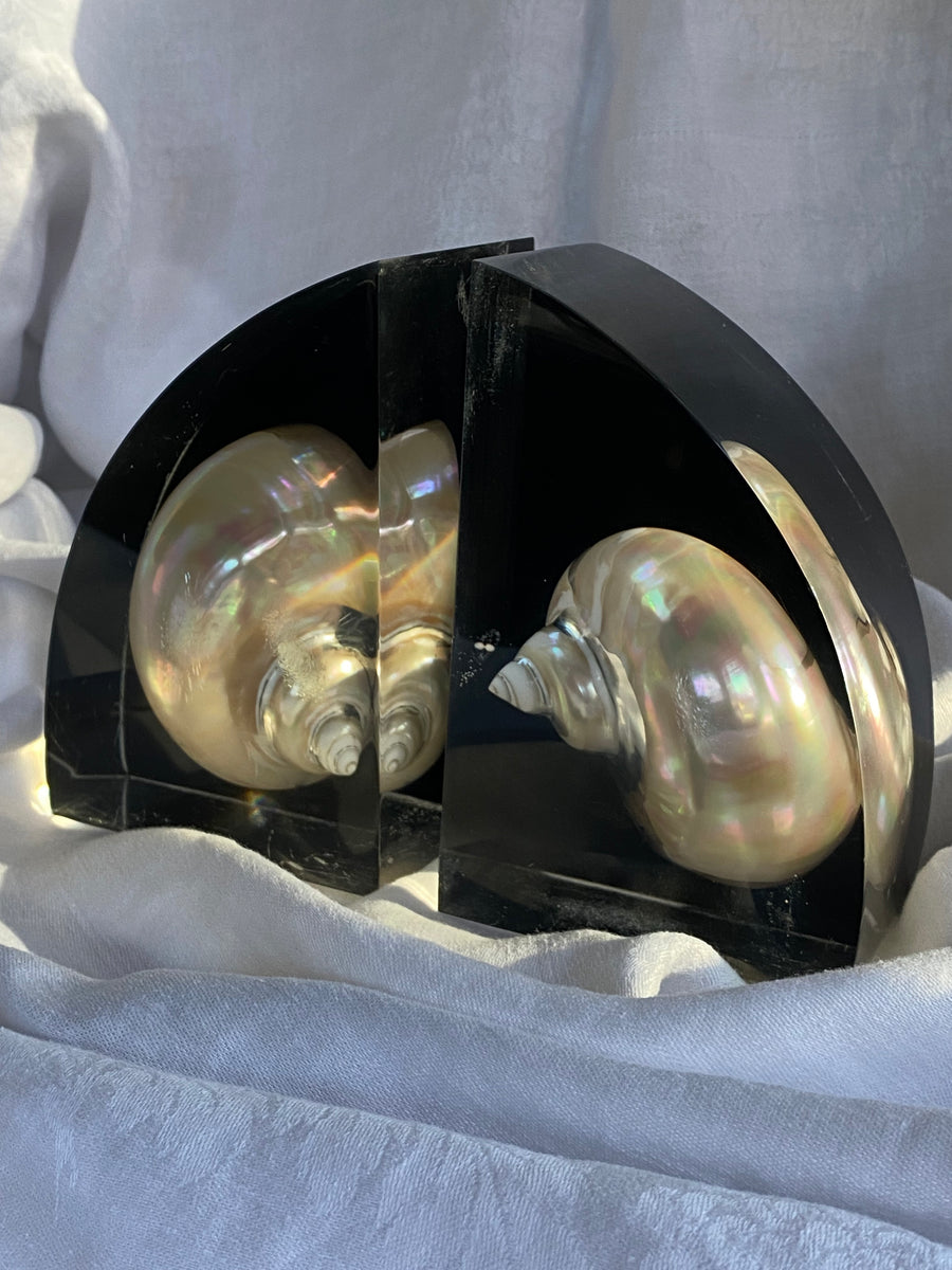 lucite shell embedded bookends