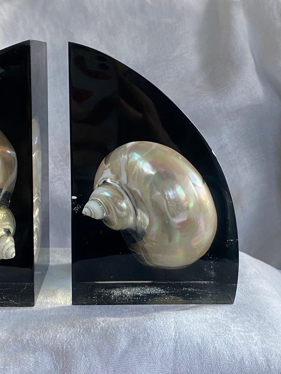 lucite shell embedded bookends