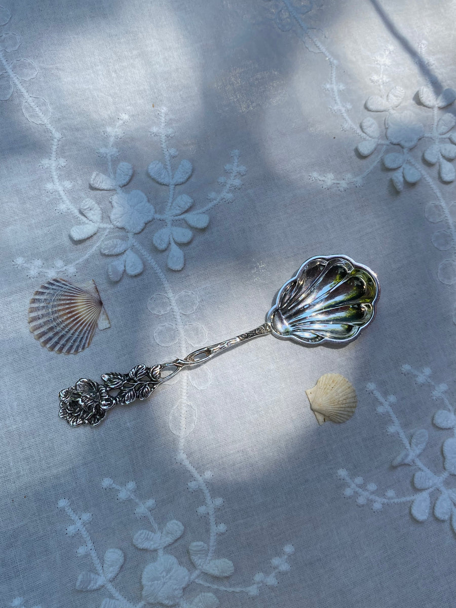 rose shell spoon