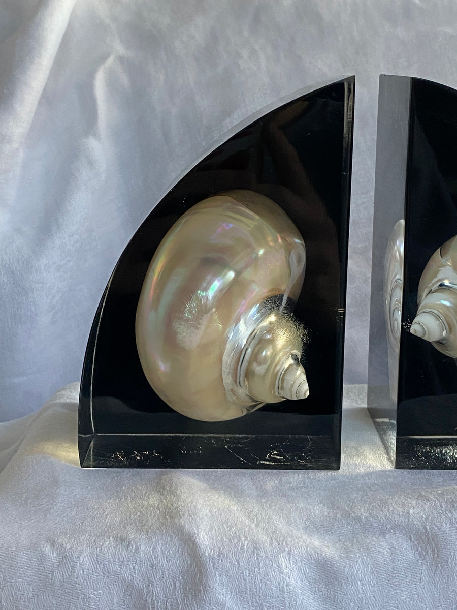 lucite shell embedded bookends