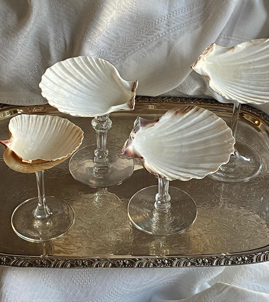 natural seashell glass